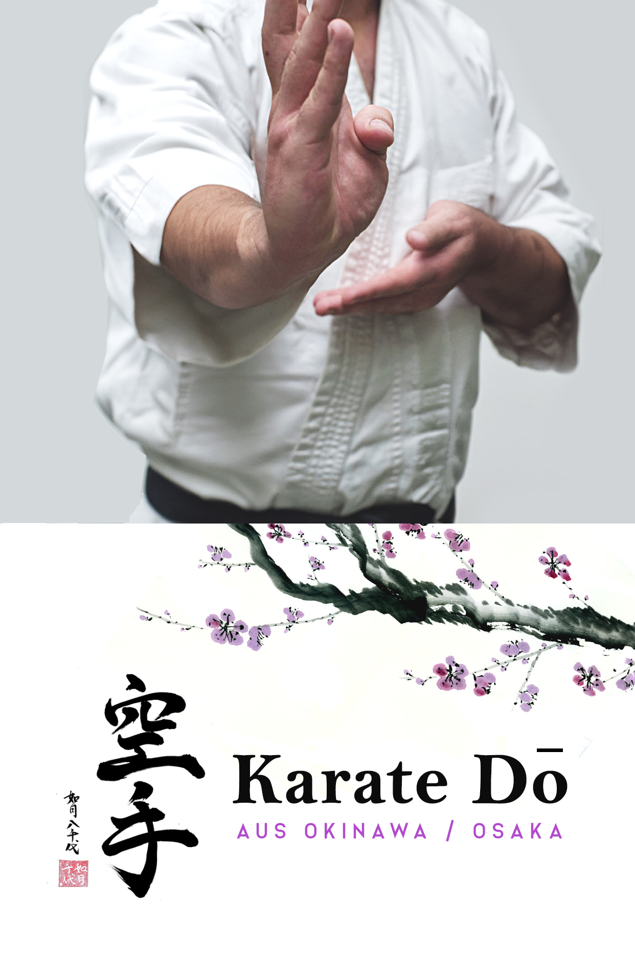 Traditionelles Karate aus Okinawa Traditionelles Karate aus Okinawa